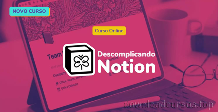 descomplicando notion