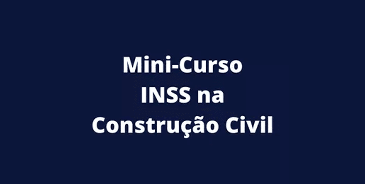 mini inss