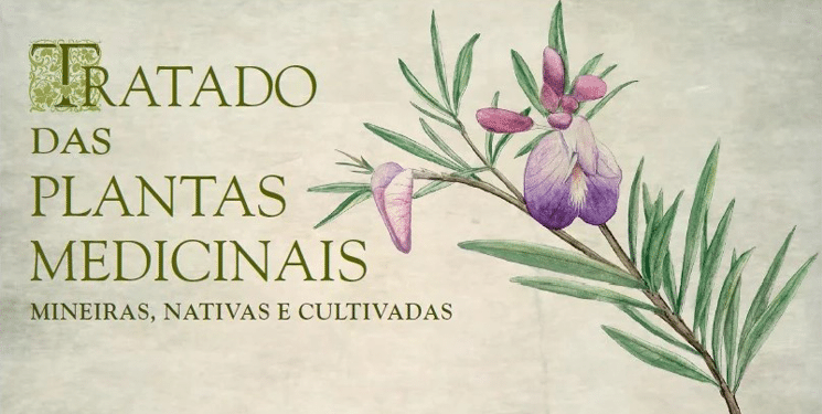 plantas medicinais